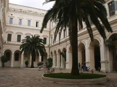 Disposte simmetricamente come i fuochi di un'ellisse, spiccano all'interno del cortile due palme, piantate su altrettante aiuole che nel mese di maggio si colorano di rosso grazie alla fioritura delle rose